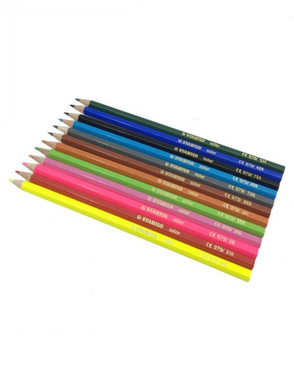 Stabilo İnce Kuru Boya Kalem Seti 12'li - Resim 2