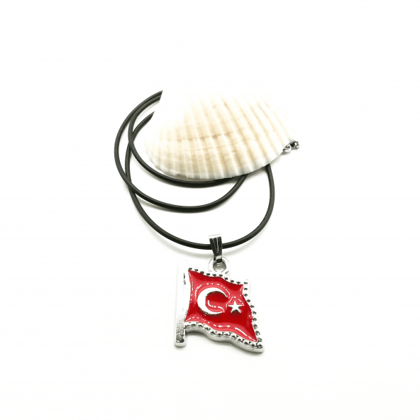 Parlak Gümüş Renk Türkiye Bayraklı Tablo Kolye