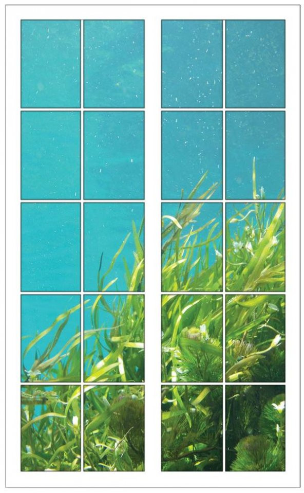 Pencere, Deniz Dibi, Bitki Duvar Sticker