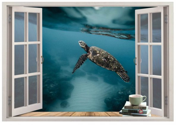 Pencere, Deniz Kaplumbağası Duvar Sticker