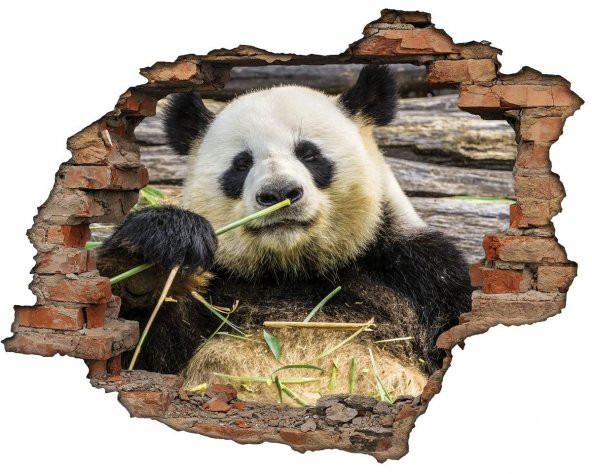 Kırık Tuğla, Panda Duvar Sticker