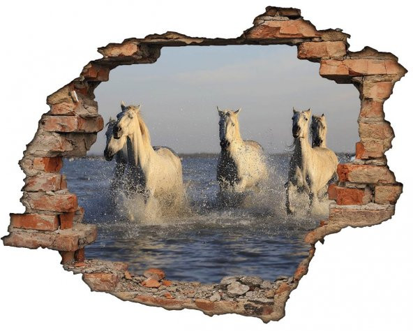 Kırık Tuğla, Atlar, Deniz Duvar Sticker