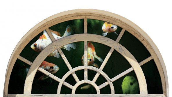 Pencere, Akvaryum, Balıklar Duvar Sticker