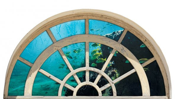 Pencere, Deniz Dibi, Akvaryum, Balık Duvar Sticker