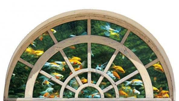 Pencere, Balıklar, Akvaryum Duvar Sticker
