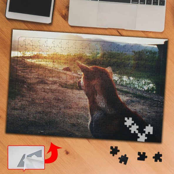 Güneş, Köpek, Arazi 240 Parça Puzzle Yapboz Tablo-pf373