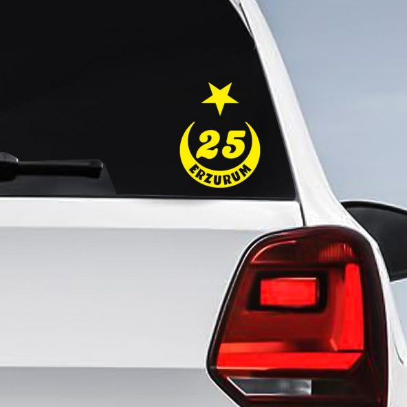 Ay Yıldız Erzurum Plakası 25 Sticker, Oto, Araba, Araç, Etiket, Aksesuar - 7
