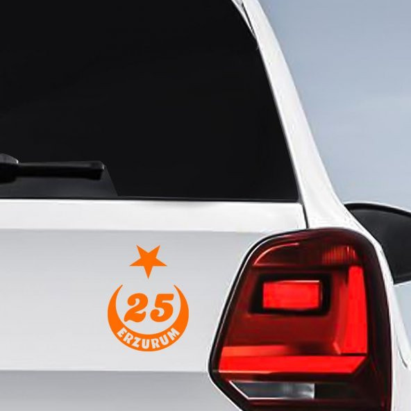 Ay Yıldız Erzurum Plakası 25 Sticker, Oto, Araba, Araç, Etiket, Aksesuar - 8
