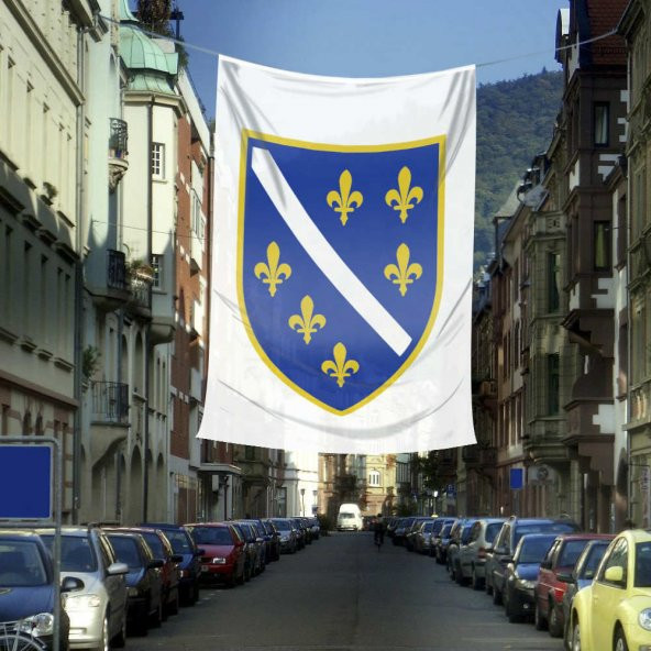 Bosna Hersek Bayrağı Raşel Bayrak (400x600 cm)