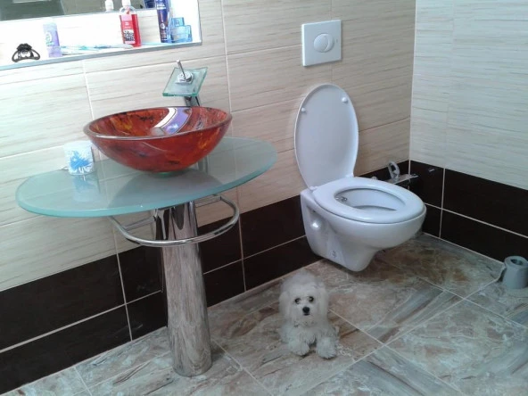 Creavit Perla Asma Klozet Beyaz TP320 + KC3000 KAPAKLI - Resim 4