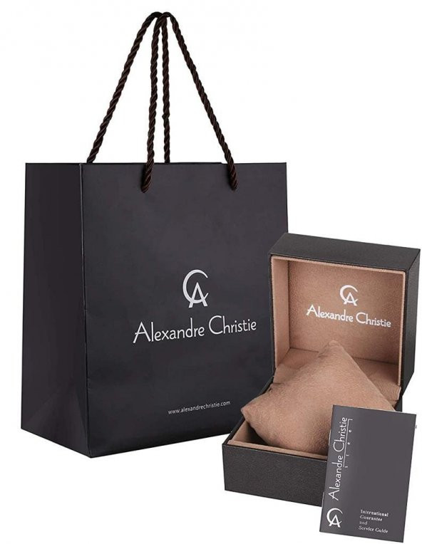 Alexandre Christie 6295MCLBRBABO Erkek Kol Saati - 2