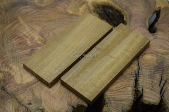 Afromozya Ağacı 10x50x130mm