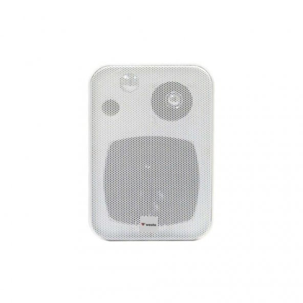 Westa Wm-305TW Duvar Tipi Hoparlör Hat Trafolu 100 Watt
