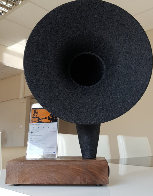 GRAMMY AKUSTİK GRAMAFON MÜZİK ALETİ DEKORATİF ÜRÜN HEDİYELİK EŞYA - 2