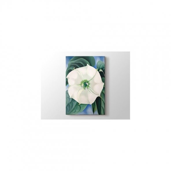 Georgia OKeeffe - White Flower No1 Tablo