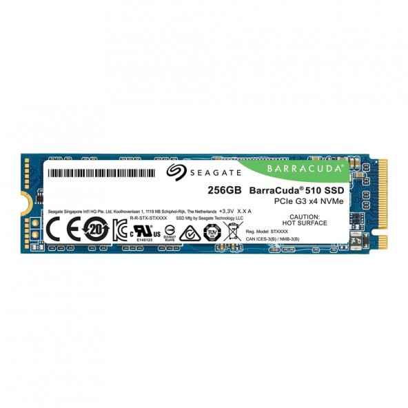 256GB SEAGATE M.2 PCIe BARRACUDA 510 SSD ZP256CM30041