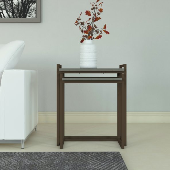 BMdekor Zigon Sehpa Leno Kahve - 2