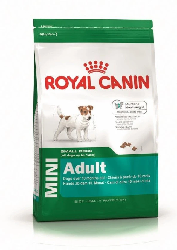 Royal Canin Mini Adult 2 kg Skt: 07/2025 Yetişkin Köpek Maması