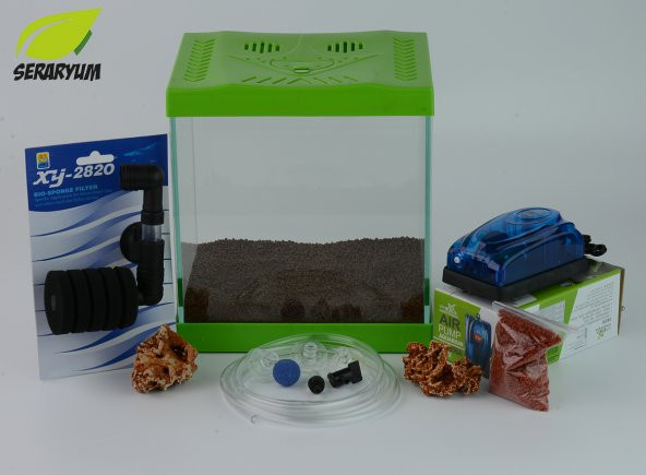 Yeşil Mini Akvaryum Seti - Filtreli Hava Motorlu Komple Set