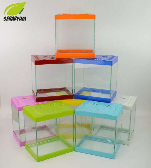 Yeşil Mini Akvaryum Seti - Filtreli Hava Motorlu Komple Set - 3