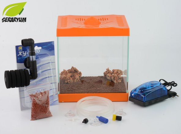 Turuncu Mini Akvaryum Seti - Filtreli Hava Motorlu Komple Set
