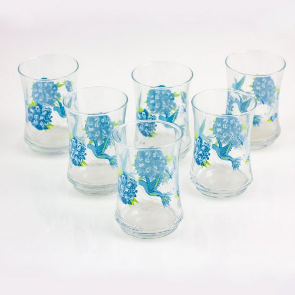 Mavi Desenli Su ve Meşrubat Bardağı 6 Adet