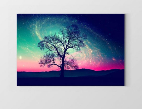 Gece Gökyüzü Ağaç Manzarası Tablosu - 1
