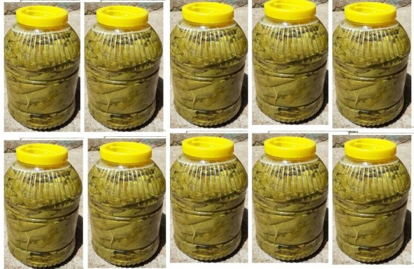 MANİSA BİRLİK SALAMURA YAPRAK 5 LİK PET 10 ADET