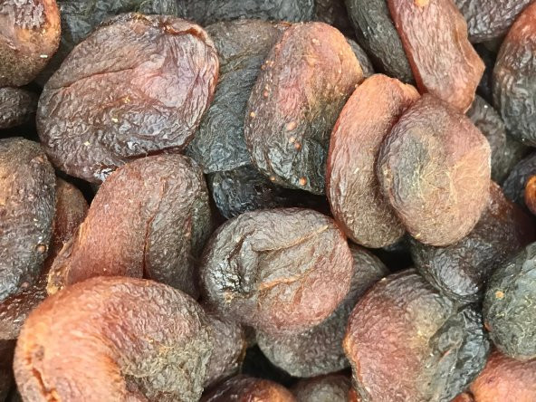 GÜN KURUSU KAYISI 1 KG