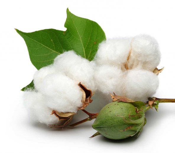 50X100 HEYNER COTTON VİSCO OYUN PARKI YATAĞI 50*100 SEPET BEŞİK - 3