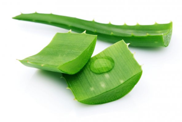 60x120 POOLY ALOE VERA ORTOPEDİK YAYLI BEBEK YATAĞI - 4