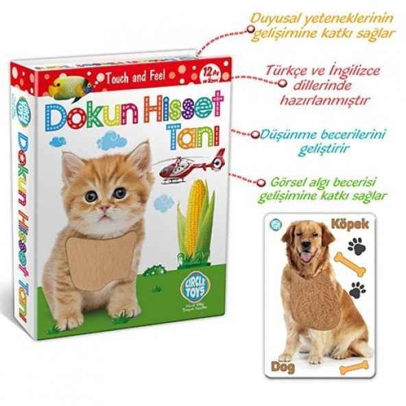 Circle Toys Dokun Hisset Tanı - 2