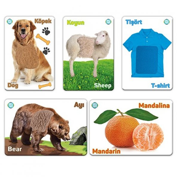 Circle Toys Dokun Hisset Tanı - 4