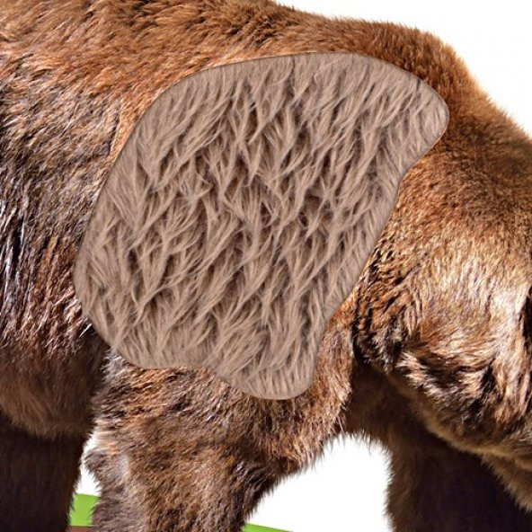 Circle Toys Dokun Hisset Tanı - 5