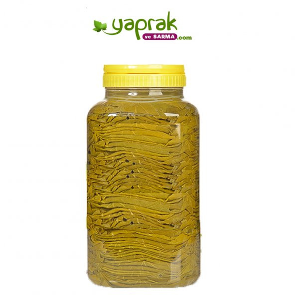 Üzüm Yaprağı Erbaa Tevek Yaprağı Salamura Yaprak 5 Kg Pet Bidon