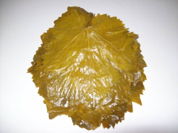 Üzüm Yaprağı Erbaa Tevek Yaprağı Salamura Yaprak 5 Kg Pet Bidon - 2