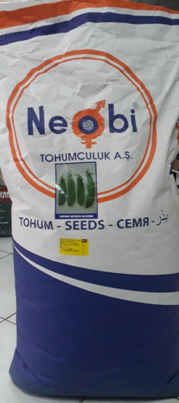 Yaprak Sırık Bezelye Tohumu 1 Kg. - 1