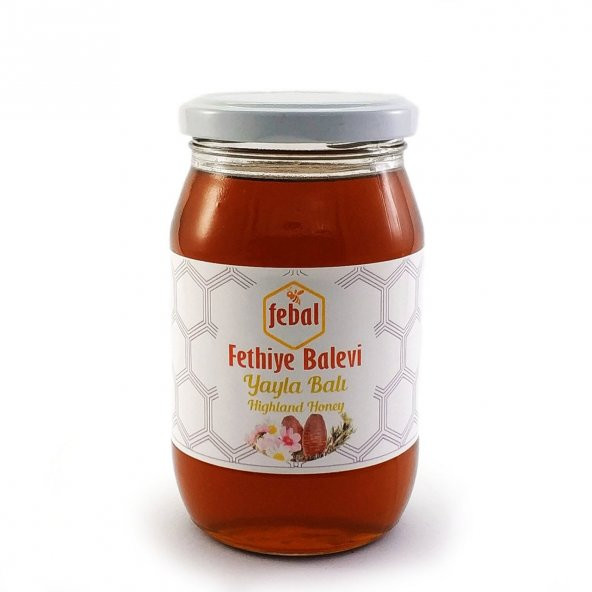 Fethiye Balevi Yayla Balı 460 G