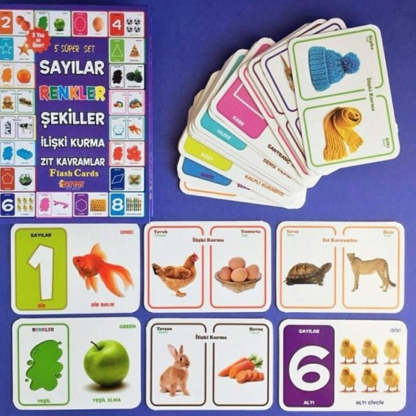 5li Süper Set Sayılar, Renkler, Şekiller, İlişki Kurma, Zıt Kavramlar - 2