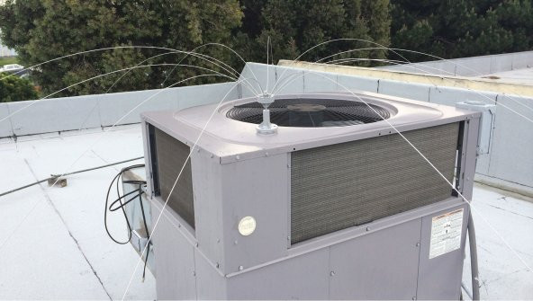 KUŞ KONDURMAZ YELPAZE TEL - 3