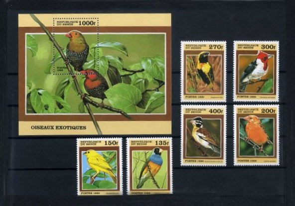 Bahadır Pul Evi, 1999, BENİN (Batı Afrika), Kuşlar, 6 Pul+1 Özel Blok  Damgasız Tam Seri