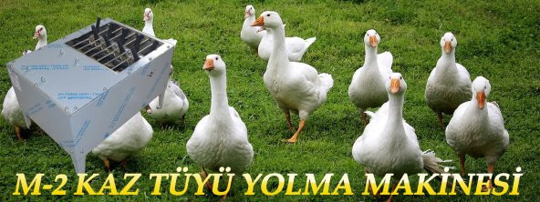 Meltem M2 kaz Hindi Ordek Tavuk Tuy Yolma Makinesi - 2
