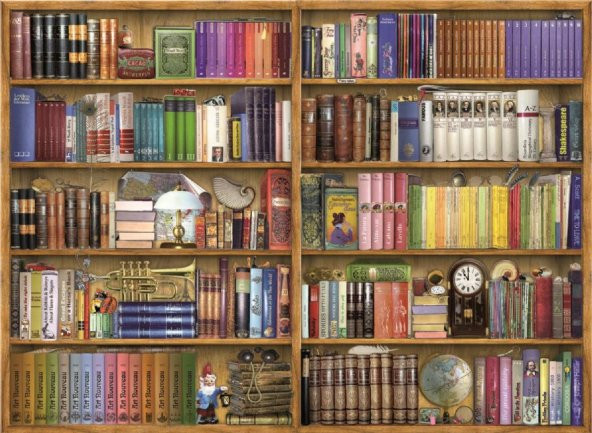Anatolian 1000 Parça Kitaplık (Bookshelves) Puzzle