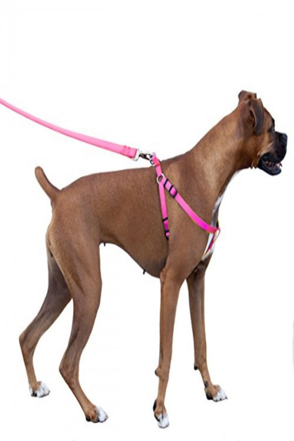 PETSAFE Easy Walk Harness Pembe Kopek Gogus Tasması LARGE - 2