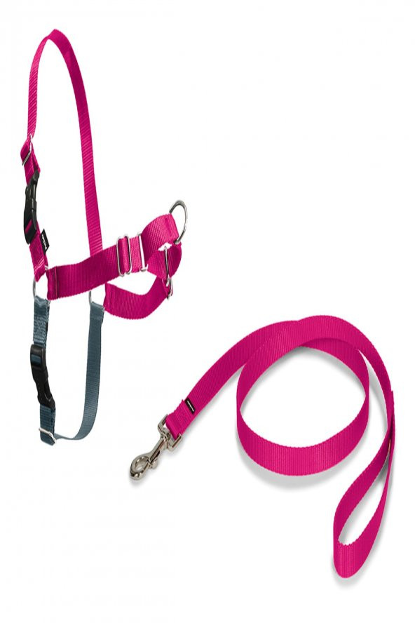 PETSAFE Easy Walk Harness Pembe Kopek Gogus Tasması XLARGE - 2