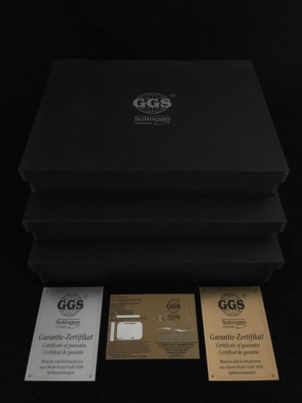 NICOLE MAT GGS SOLİNGEN 96 PARÇA ORJİNAL KUTULARINDA ÇATAL KAŞIK BIÇAK SETİ - 5