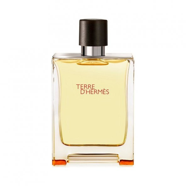 Hermes Terre D’Hermes Edt 100 ml Erkek Parfüm