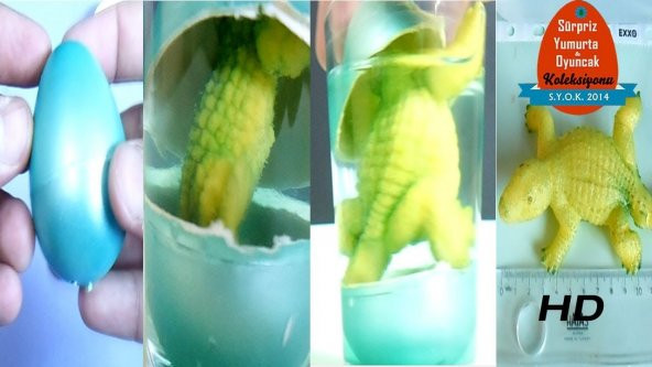 DİNAZOR YUMURTASI SUDA ÇATLAYAN VE BÜYÜYEN RENKLİ YAVRU HAYVANLAR 6 ADET ANİMAL EGG - 7