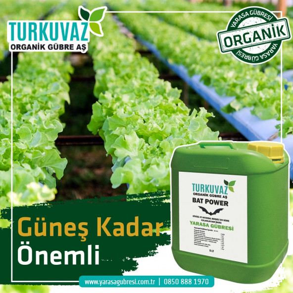 Turkuvaz Bat Power 10 Kg. Organik Toz Yarasa Gübresi - 12