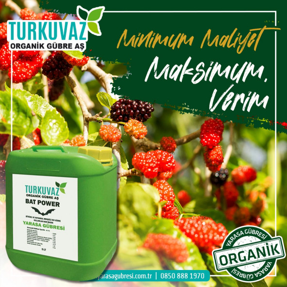 Turkuvaz Bat Power 1 Kg. Organik Toz Yarasa Gübresi - 7